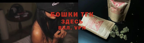 эйфоретик Михайлов
