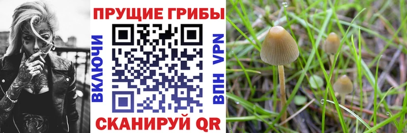 omg ССЫЛКА цены Пересвет Галлюциногенные грибы мухоморы
